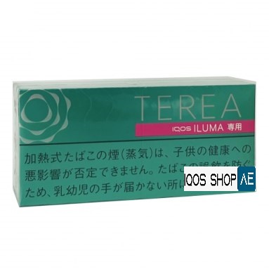 TEREA MENTHOL