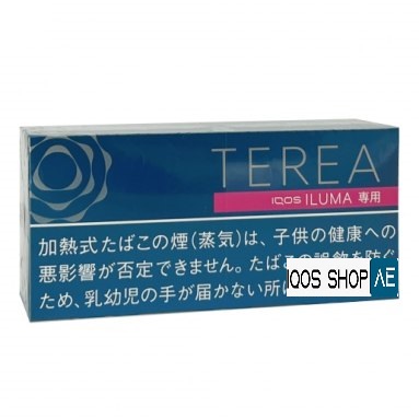 TEREA RICH REGULAR