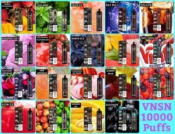 vnsn quake 10000 puffs disposable vape