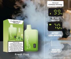 NERD-FIRE-8000-PUFFS-FRESH-MINT.jpg