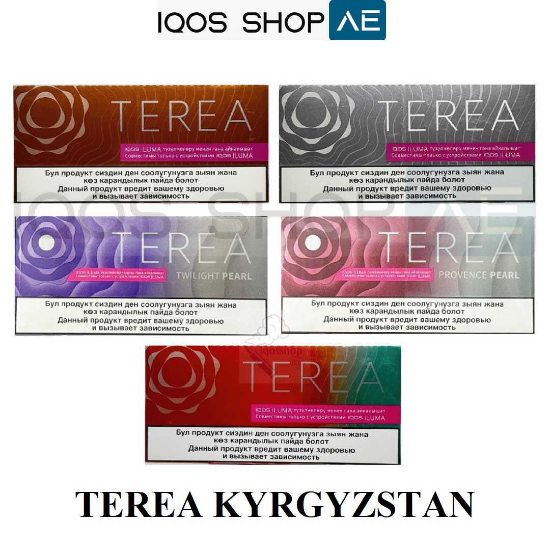 TEREA KYRGYZSTAN IN DUBAI - Image 4