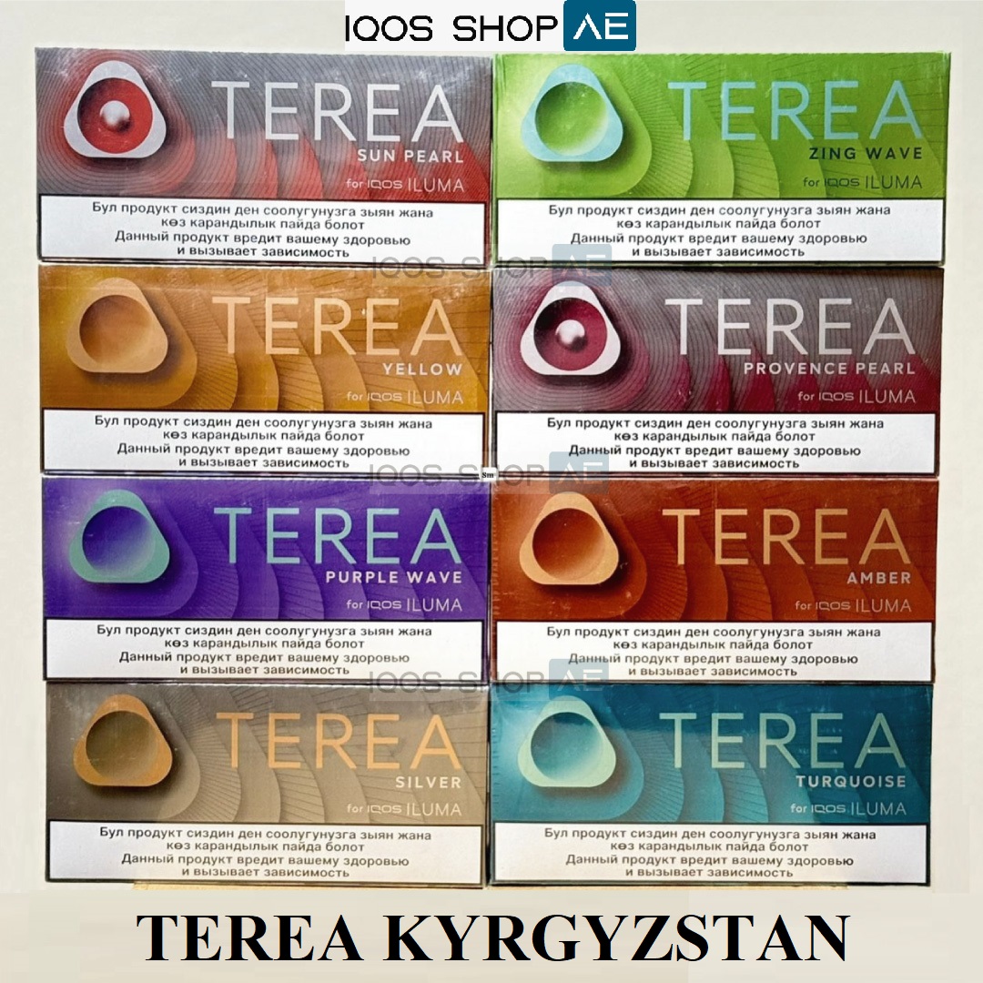 TEREA KYRGYZSTAN IN DUBAI - Image 2