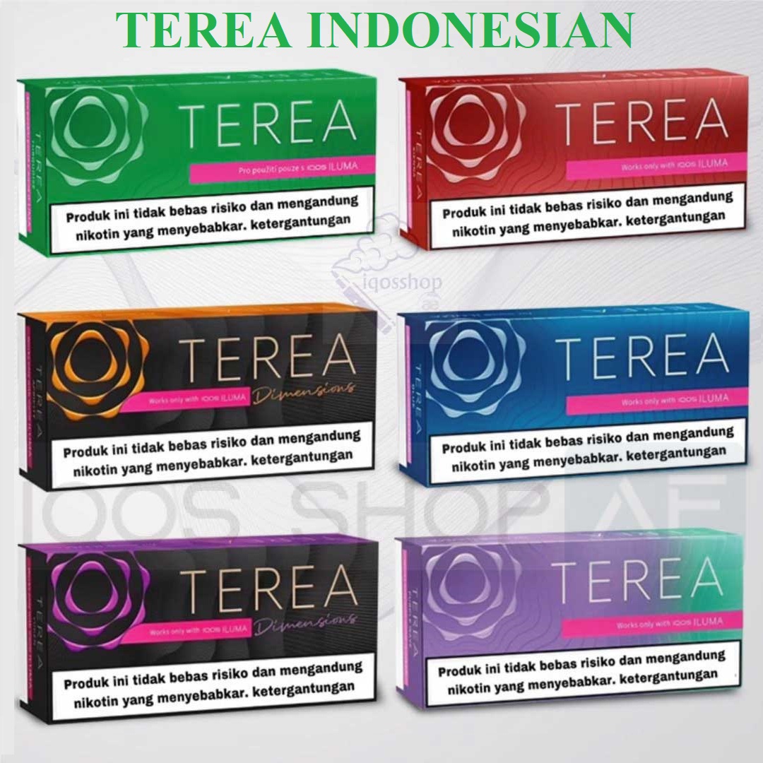 TEREA INDONESIAN APRICITY DIMENSIONS - Image 3