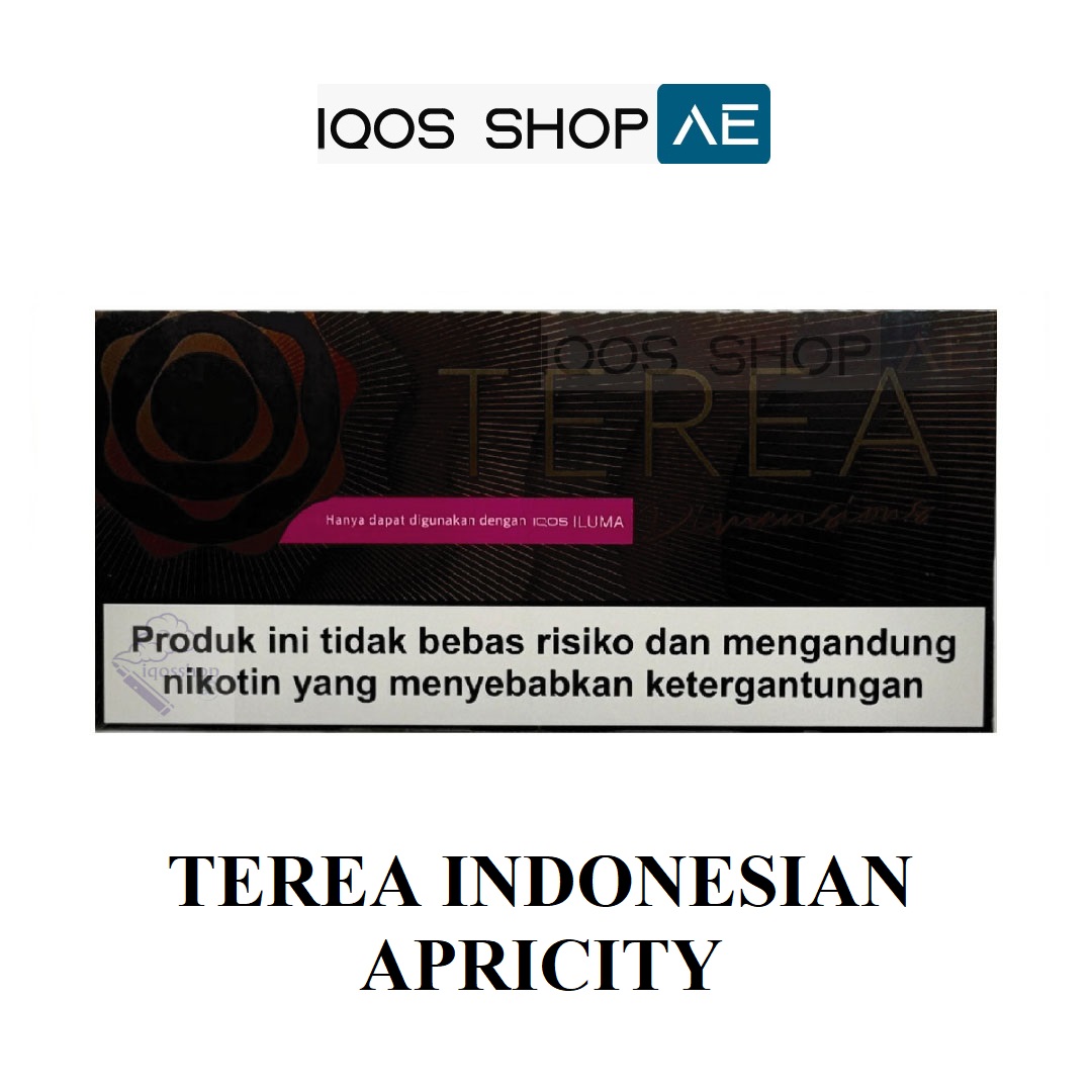 TEREA INDONESIAN APRICITY DIMENSIONS - Image 4