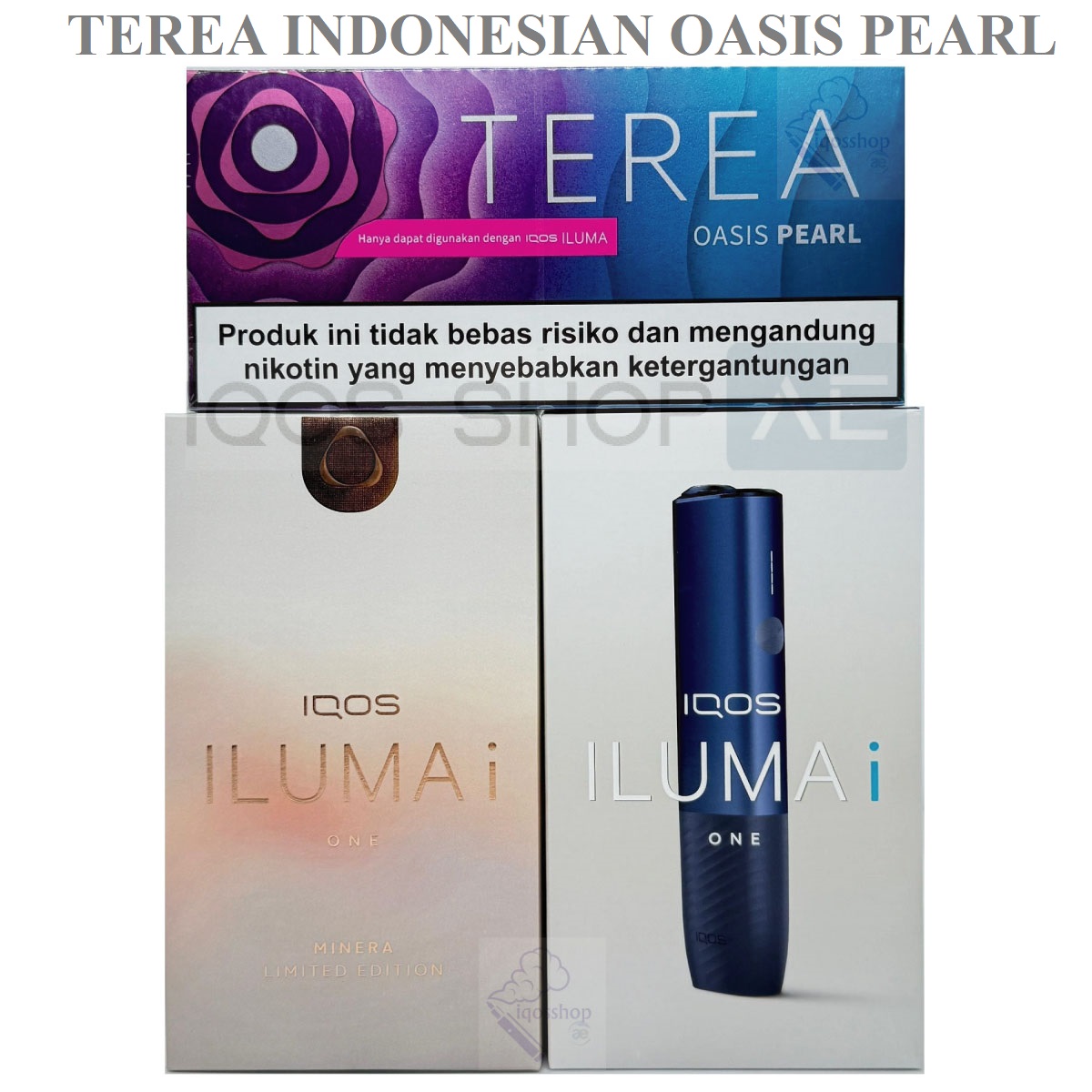 TEREA INDONESIAN OASIS PEARL - Image 6