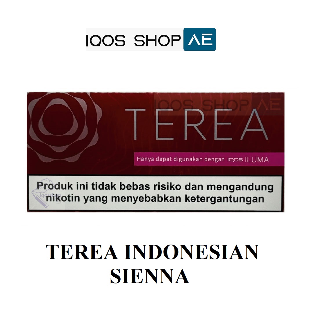 TEREA INDONESIAN SIENNA - Image 3